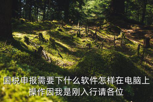 寶雞國(guó)稅用的什么軟件報(bào)稅，寶雞報(bào)稅怎么報(bào)
