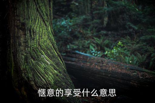 應享盡享什么意思，愜意的享受什么意思