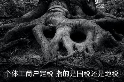 個體戶定稅是什么意思，疑難國稅個體戶定稅