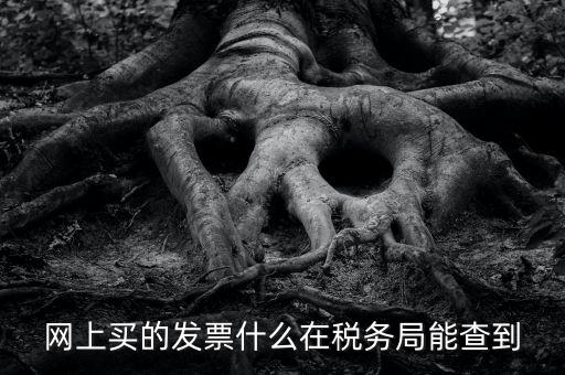 網(wǎng)上查發(fā)票能查到什么內(nèi)容，網(wǎng)上買的發(fā)票什么在稅務(wù)局能查到