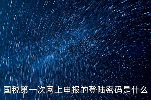 國稅第一次網上申報的登陸密碼是什么
