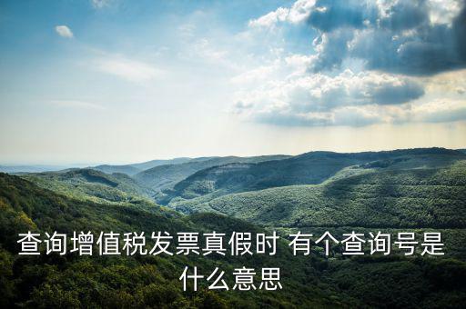 陜西省發(fā)票查詢(xún)號(hào)是什么意思，電子發(fā)票號(hào)碼是什么意思