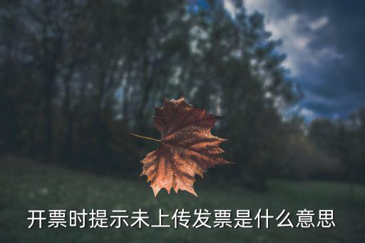 普通發(fā)票為什么顯示沒上傳，為什么我的發(fā)票顯示為未報(bào)送怎么辦