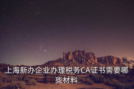 2014年7月份上海稅務(wù)局還需要審什么證，上海新辦企業(yè)辦理稅務(wù)CA證書需要哪些材料