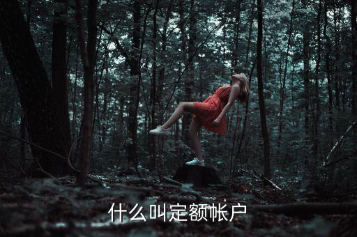 國稅的定期定額戶是什么意思，國稅買票需要定稅或建賬是什么意思