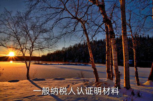 認(rèn)證一般納稅人的要什么資料，一般納稅人認(rèn)證明材料