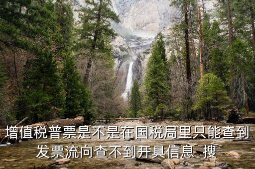 增值稅普票是不是在國(guó)稅局里只能查到發(fā)票流向查不到開(kāi)具信息  搜