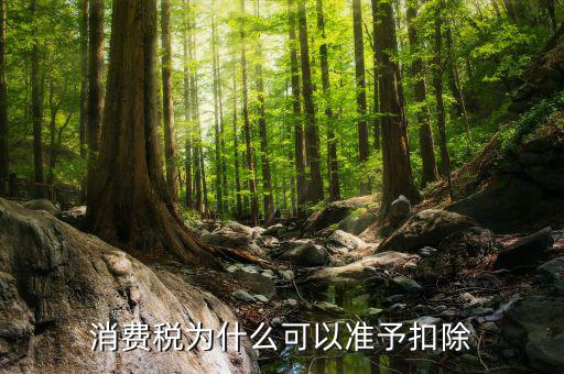 外購的汽油柴油消費(fèi)稅為什么可抵扣，cpa稅法中15年真題外購汽油90用于公司運(yùn)送旅客可以抵扣90