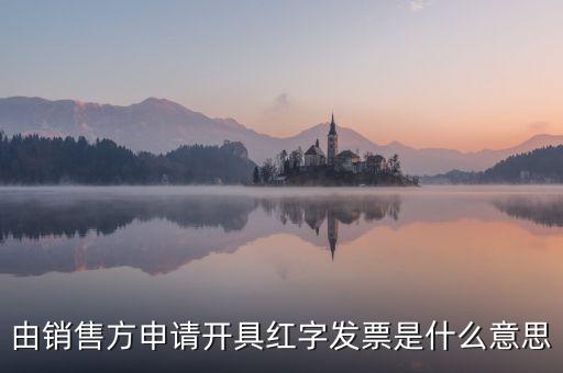 由銷售方申請(qǐng)開(kāi)具紅字發(fā)票是什么意思