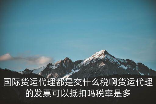 貨代公司交什么稅，國際貨運(yùn)代理都是交什么稅啊貨運(yùn)代理的發(fā)票可以抵扣嗎稅率是多