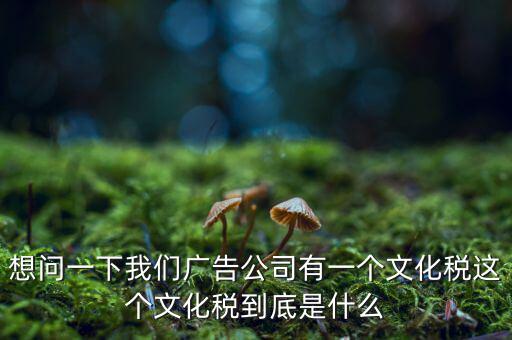 什么是稅務(wù)文化，和諧地稅文化的內(nèi)涵應(yīng)包括哪些方面