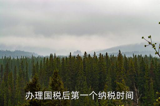 報(bào)稅后什么時(shí)候交稅，辦理國(guó)稅后第一個(gè)納稅時(shí)間