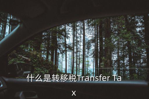 什么是跨地區(qū)稅收轉移企業(yè)，什么是轉移稅Transfer Tax