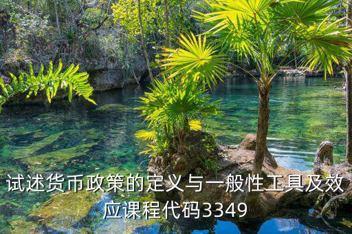 政策功能編碼是什么，試述貨幣政策的定義與一般性工具及效應課程代碼3349