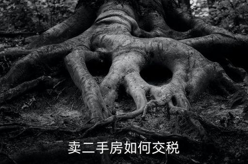 個(gè)稅手續(xù)費(fèi)什么時(shí)候反還，我中獎(jiǎng)了打了錢過去還說要交個(gè)人所得稅才能領(lǐng)獎(jiǎng)是真的嗎