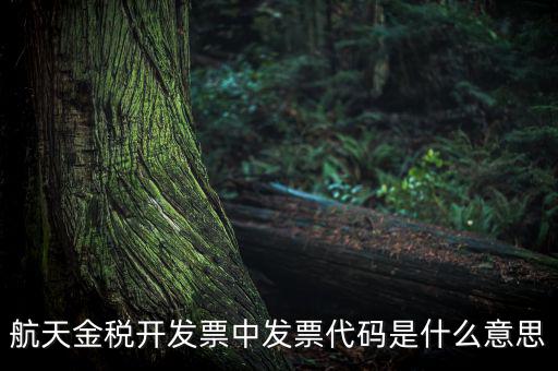 增值稅的航天編碼是什么，航天金稅 自動(dòng)開票 怎么獲取 發(fā)票代碼 發(fā)票號(hào)碼