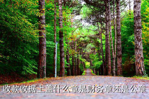 收據加蓋什么章，收據蓋什么章有規(guī)定嗎