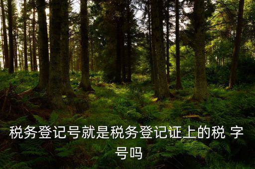 稅務(wù)登記證是什么字體，稅務(wù)登記證上的這是什么字體