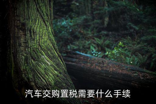 汽車(chē)交購(gòu)置稅需要什么手續(xù)