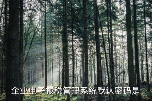 電子稅務(wù)局的初始密碼是什么，稅務(wù)局網(wǎng)站的登入賬戶初始密碼是什么