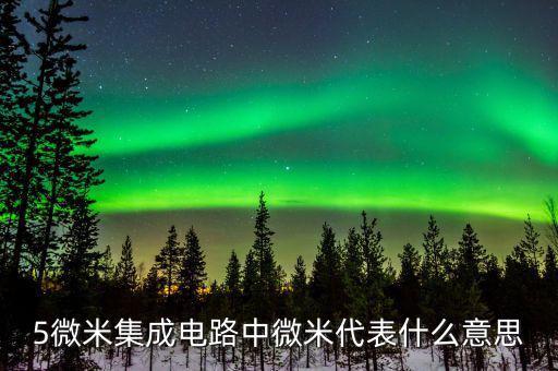 集成電路08微米是什么概念，CPU上說的納米和微米是什么意思呢詳細(xì)