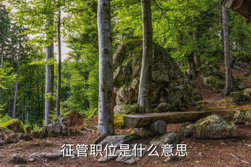 稅政 征管業(yè)務(wù)崗是什么，縣國稅局里面的業(yè)務(wù)科的主要職能是什么平時都做什么工作哪位