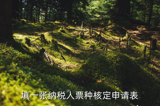 交票種核定表是什么，納稅人領購發(fā)票票種核定申請表如何填寫
