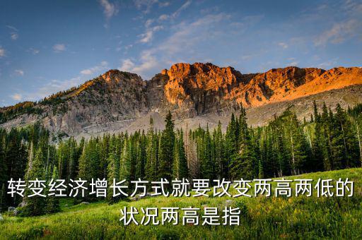 什么是兩提高兩降低，轉(zhuǎn)變經(jīng)濟(jì)增長方式就要改變兩高兩低的狀況兩高是指