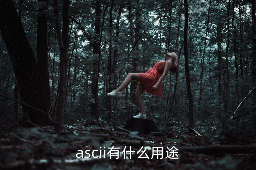 稅優(yōu)識別碼有什么用，ascii有什么用途