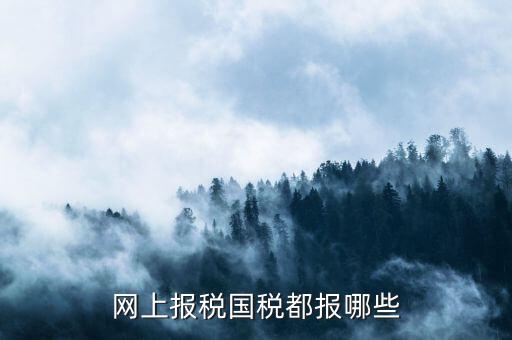國稅申報什么，國稅局是報什么稅