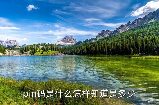 稅控盤pin碼是什么意思，pin碼是啥碼
