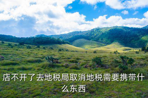 去地稅作廢申報(bào)需要帶什么手續(xù)，去地稅局辦撤回個(gè)人所得稅申報(bào)用帶什么