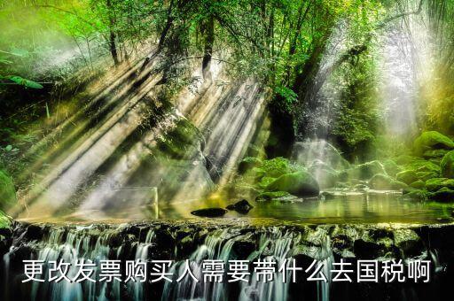 更改發(fā)票價(jià)格需要帶上什么東西，變更發(fā)票購買人需要帶什么東西去稅務(wù)局