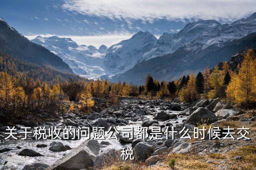 每個什么時候交稅，關(guān)于稅收的問題公司都是什么時候去交稅
