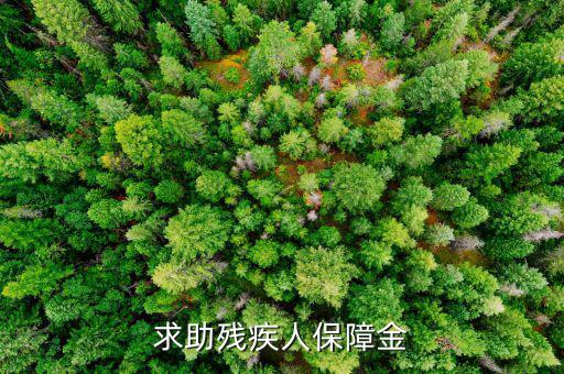 殘疾人保障金什么意思，求助殘疾人保障金