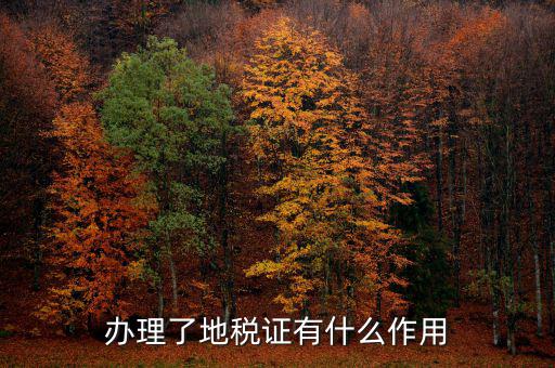 地稅局作用是什么，地稅局給我們帶來了哪些好處