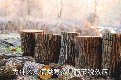 什么是節(jié)稅，為什么負(fù)債類籌資具有節(jié)稅效應(yīng)