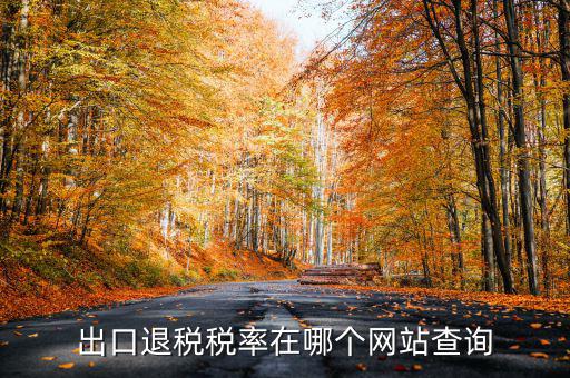 出口退稅稅率在哪個(gè)網(wǎng)站查詢(xún)