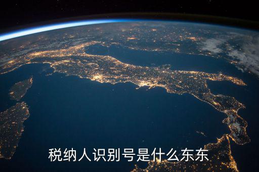 企業(yè)稅務(wù)識別號是什么意思，稅納人識別號是什么東東
