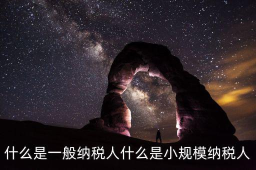 什么企業(yè)是一般納稅人，什么叫一般納稅人我如何辨別自己公司是否是一般納稅人