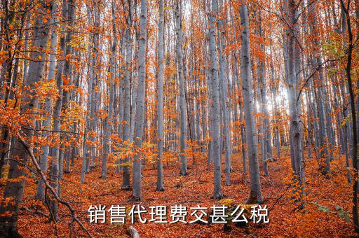代理費(fèi)繳納什么稅，銷售代理費(fèi)交甚么稅
