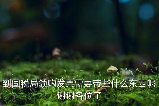 國(guó)稅局領(lǐng)票帶什么東西，去稅務(wù)局領(lǐng)發(fā)票需要帶什么資料去