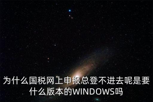 為什么國稅網(wǎng)上申報(bào)總登不進(jìn)去呢是要什么版本的WINDOWS嗎