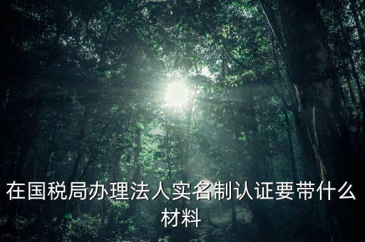 在國稅局辦理法人實名制認(rèn)證要帶什么材料