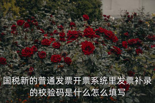 國(guó)稅新的普通發(fā)票開票系統(tǒng)里發(fā)票補(bǔ)錄的校驗(yàn)碼是什么怎么填寫