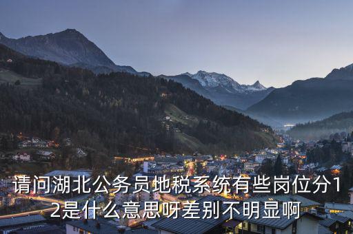 地稅上線是什么意思，0801國(guó)稅地稅啥意思