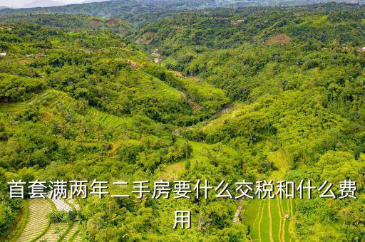 賣滿2年的房子交什么稅，商品房滿2年了出售的話需要交哪些稅詳細(xì)點(diǎn)