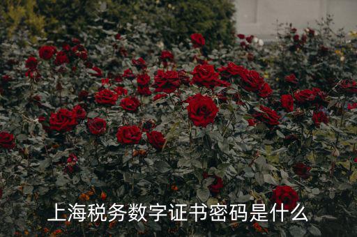 稅務(wù)數(shù)字證書密碼是什么，稅務(wù)密鑰是什么東西是數(shù)字證書嗎