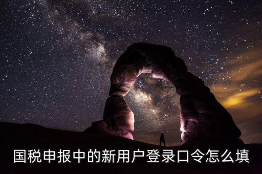 國稅用戶口令是什么，我想問下國家稅務(wù)網(wǎng)上申報點擊安全登錄時出現(xiàn)的用戶口令是什么