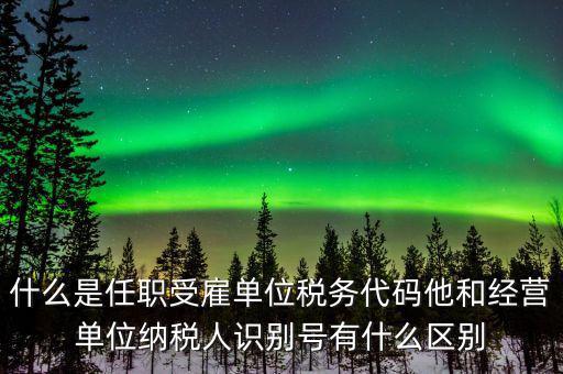 報(bào)稅自然人識(shí)別號(hào)是什么，個(gè)稅申報(bào)顯示存在相同唯一識(shí)別號(hào)是什么意思